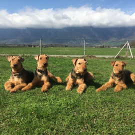 Frühlingsfrisuren – oder Mama Bounce mit 3 ihrer Töchter ❤️