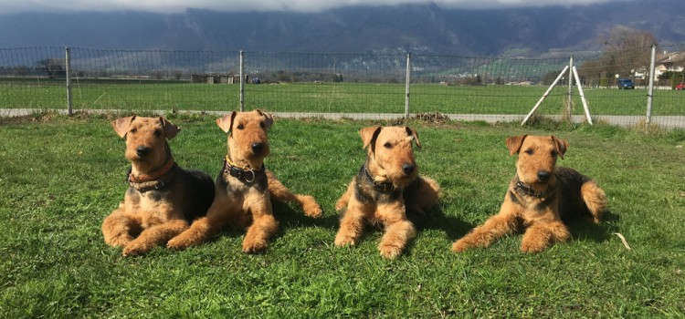 Frühlingsfrisuren – oder Mama Bounce mit 3 ihrer Töchter ❤️