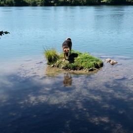 Auf der Insel