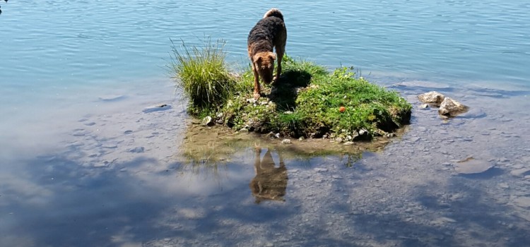 Auf der Insel