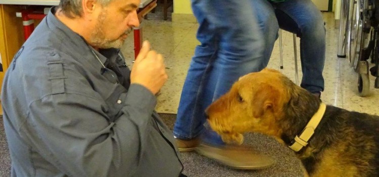 Bobby ist geprüfter Therapie – Hund! 😊 Bobby ist geprüfter Therapie – Hund! 😊