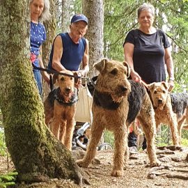 3 Spiersbächler im Schwarzwald